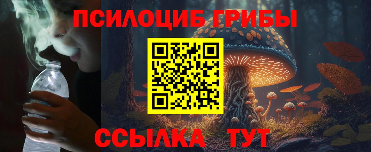 Галлюциногенные грибы Psilocybe  Псилоцибиновые грибы Psilocybine cubensis  Курчатов  Вход с VPN 